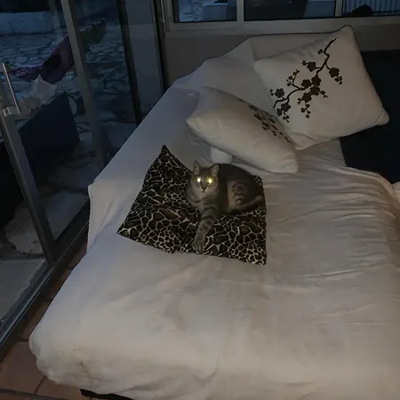 La Grangette Vila Marseillan (Herault)