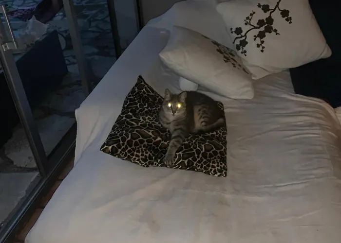 La Grangette فيلة مارسيلان