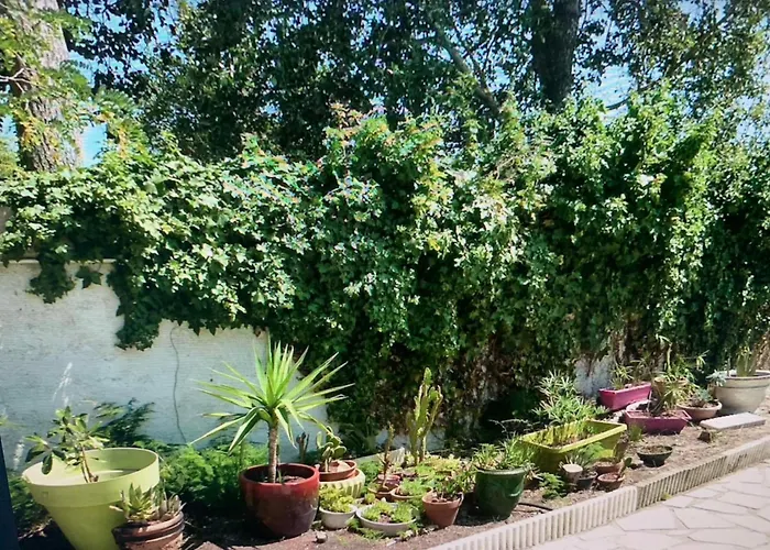 La Grangette فيلة *