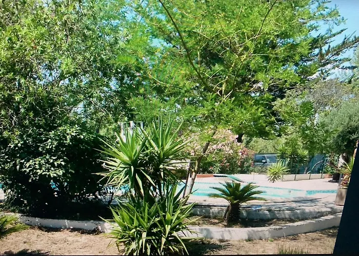 فيلة La Grangette *