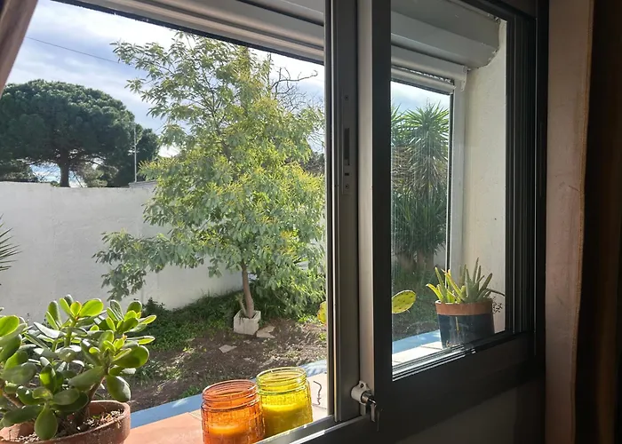 La Grangette فيلة *