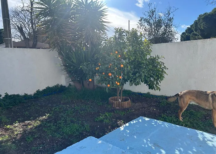 La Grangette فيلة مارسيلان